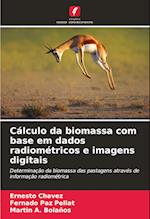 Cálculo da biomassa com base em dados radiométricos e imagens digitais