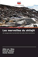 Les merveilles du shilajit