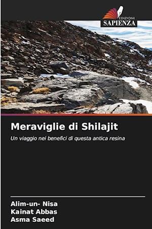 Meraviglie di Shilajit