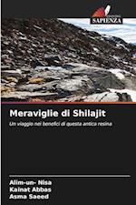 Meraviglie di Shilajit