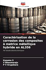 Caractérisation de la corrosion des composites à matrice métallique hybride en AL356