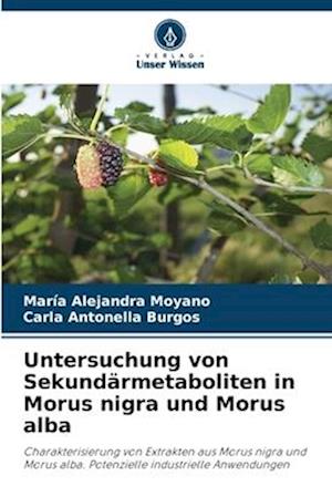 Untersuchung von Sekundärmetaboliten in Morus nigra und Morus alba