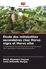 Étude des métabolites secondaires chez Morus nigra et Morus alba