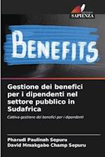 Gestione dei benefici per i dipendenti nel settore pubblico in Sudafrica