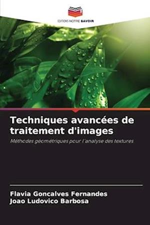 Techniques avancées de traitement d'images