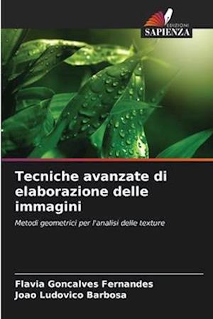 Tecniche avanzate di elaborazione delle immagini