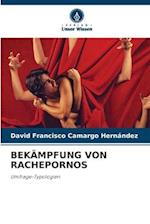 BEKÄMPFUNG VON RACHEPORNOS