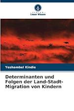 Determinanten und Folgen der Land-Stadt-Migration von Kindern