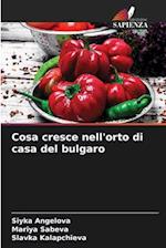 Cosa cresce nell'orto di casa del bulgaro