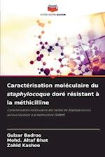 Caractérisation moléculaire du staphylocoque doré résistant à la méthicilline