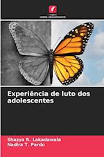 Experiência de luto dos adolescentes