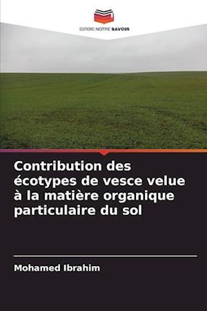 Contribution des écotypes de vesce velue à la matière organique particulaire du sol