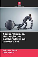 A importância da Motivação dos Colaboradores no processo PM