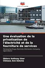 Une évaluation de la privatisation de l'électricité et de la fourniture de services