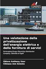 Una valutazione della privatizzazione dell'energia elettrica e della fornitura di servizi