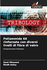 Poliammide 66 rinforzata con diversi livelli di fibra di vetro