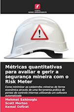 Métricas quantitativas para avaliar e gerir a segurança mineira com o Risk Meter