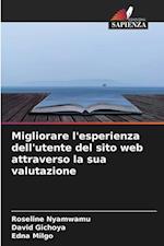 Migliorare l'esperienza dell'utente del sito web attraverso la sua valutazione