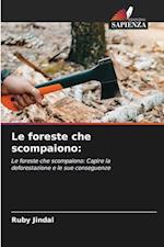 Le foreste che scompaiono: