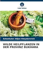 WILDE HEILPFLANZEN IN DER PROVINZ BUKHARA