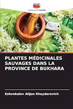 PLANTES MÉDICINALES SAUVAGES DANS LA PROVINCE DE BUKHARA