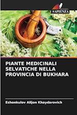 PIANTE MEDICINALI SELVATICHE NELLA PROVINCIA DI BUKHARA