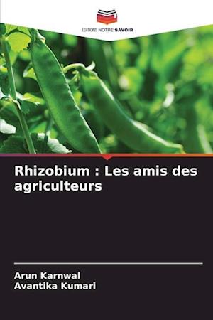 Rhizobium : Les amis des agriculteurs