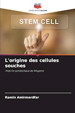 L'origine des cellules souches