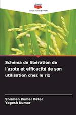 Schéma de libération de l'azote et efficacité de son utilisation chez le riz