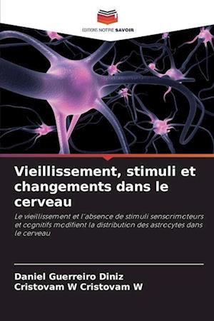 Vieillissement, stimuli et changements dans le cerveau