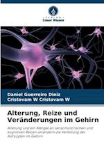 Alterung, Reize und Veränderungen im Gehirn