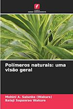 Polímeros naturais: uma visão geral