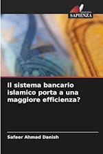 Il sistema bancario islamico porta a una maggiore efficienza?