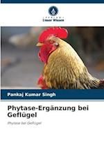 Phytase-Ergänzung bei Geflügel