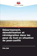 Désarmement, démobilisation et réintégration dans les pays du Sud en situation de post-conflit