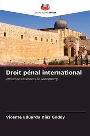 Droit pénal international