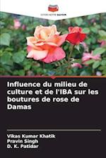 Influence du milieu de culture et de l'IBA sur les boutures de rose de Damas