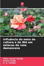 Influência do meio de cultura e do IBA em estacas de rosa damascena