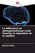 La déficience en sphingomyélinase acide favorise la réparation de la myéline