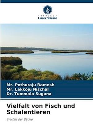 Vielfalt von Fisch und Schalentieren