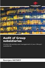 Audit of Group subsidiaries