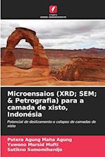 Microensaios (XRD; SEM; & Petrografia) para a camada de xisto, Indonésia