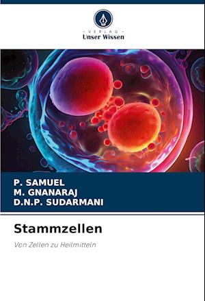 Stammzellen