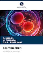 Stammzellen