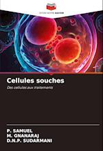 Cellules souches