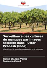 Surveillance des cultures de mangues par images satellite dans l'Uttar Pradesh (Inde)