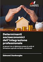 Determinanti socioeconomici dell'integrazione professionale