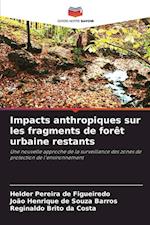 Impacts anthropiques sur les fragments de forêt urbaine restants