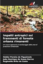 Impatti antropici sui frammenti di foresta urbana rimanenti