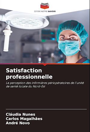 Satisfaction professionnelle